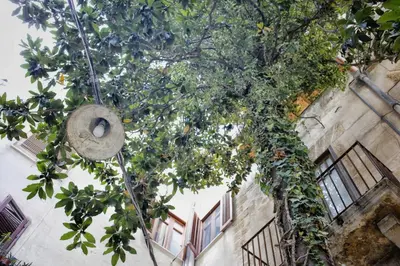 a tree with oranges hanging from a building at Affittacamere Garibaldi in Alcamo