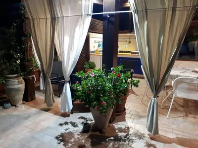 a group of potted plants on a patio with curtains at Blu Terrace in San Vito lo Capo