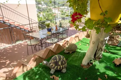 a turtle figurine on a green field with a table at Villa Salvatore in Capaci