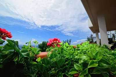 a garden with red flowers under a cloudy sky at Villa Linda, Exceptional Sea-view in Terrasini