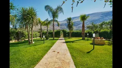 a path in a park with palm trees and mountains at ilgiardinodellanonna in Castelluzzo
