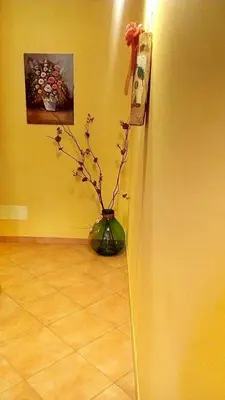 a vase with a plant in a corner of a room at ilgiardinodellanonna in Castelluzzo