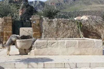 a dog drinking out of a stone fountain at Borgo Aranci - Villetta a schiera Lavanda - A8 in Castellammare del Golfo