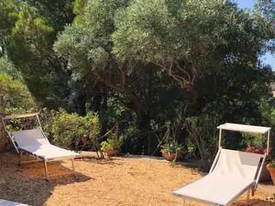 two white chairs sitting in a yard with trees at Villa Mariza in Scopello