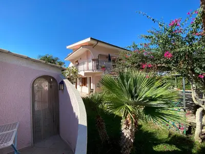 a house with a gate and a palm tree in front of it at Villa Paloma in Castellammare del Golfo