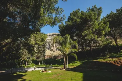 a park with a tree and a mountain in the background at LuminHouse Mondello Arancia in Mondello