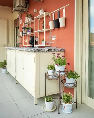a kitchen with potted plants on a counter at Ciccio Rooms and breakfast - Self check-in in Palermo