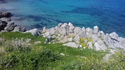 a rocky hillside with grass and flowers next to the water at Principessa Jolanda in Mondello