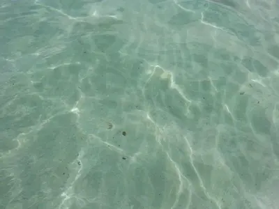a close up of the water with footprints in it at Il Mulino in San Vito lo Capo