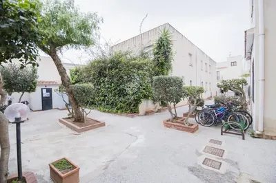 a courtyard with trees and bikes parked next to a building at ArtHouse in San Vito lo Capo