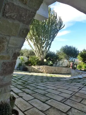 a stone patio with a palm tree in the background at Casa Calendule in Alcamo Marina