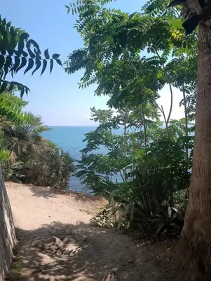 a beach with trees and the ocean in the background at Marina in Castellammare del Golfo
