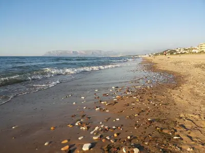 a beach with shells on the sand and the water at Castellammare Holiday in Alcamo Marina