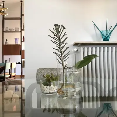 a glass table with a plant in a vase on it at B&B Questa casa non e'un albergo in Palermo