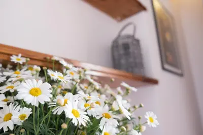a bunch of white flowers sitting next to a wall at Centro Casa Monteleone in Palermo