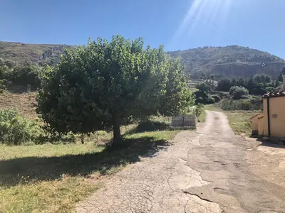 a tree on the side of a dirt road at Agriturismo Ilardo in Collesano