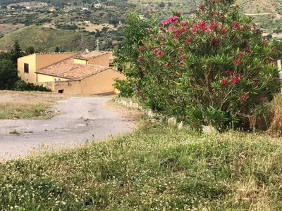 a bush with pink flowers on the side of a road at Agriturismo Ilardo in Collesano