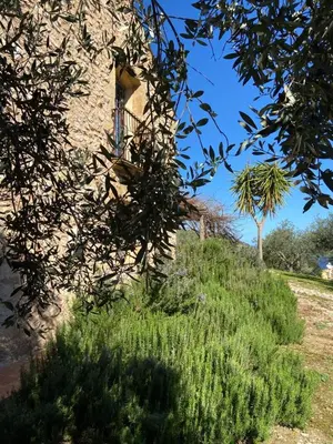 a building with a window on top of a grassy hill at the ancient sicilian house near zingaro reserve Scopello in Scopello