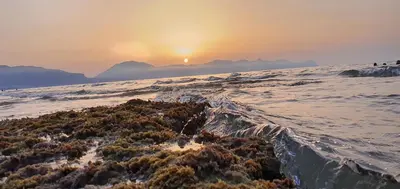 a sunset over the ocean with a bunch of seaweed at Loft in Balestrate vicino al Mare - Rental BeB in Balestrate