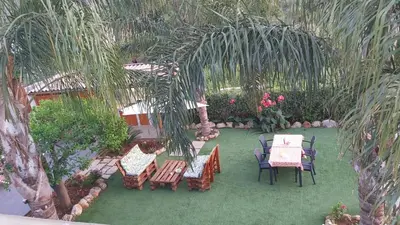 a patio with tables and chairs and plants at L'isola del sole in Castelluzzo