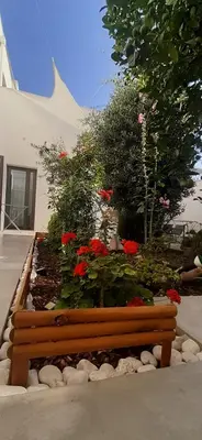 a wooden bench in a garden with red flowers at Patio 101 