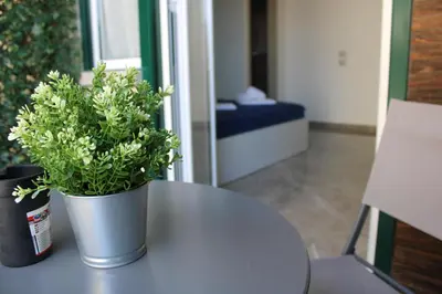 a table with a potted plant on top of it at B&B D'Amari Affittacamere in Palermo