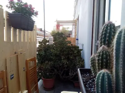 a balcony with cacti and potted plants at Ariston Petit Hotel in Palermo