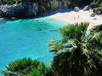 a view of a beach with a palm tree at La Via dell'Acqua in Macari