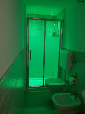 a green bathroom with two toilets and a window at La Casetta in Palermo