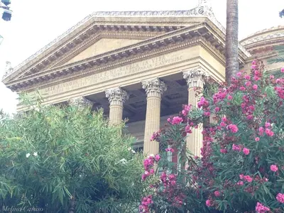 a building with pink flowers in front of it at Sweet Roma 315 in Palermo