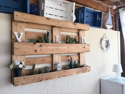 a wooden shelf on a wall with cactuses and plants at Appartamento BluOltreMare in San Vito lo Capo