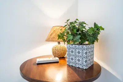 a table with a lamp and a potted plant on it at Le Casette Di Maria Pia in Mondello