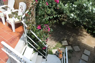 an overhead view of a garden with pink flowers at DaRiMaPa House in Mondello