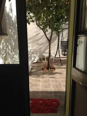 an open door with a tree in a tent at Stardust Home in Palermo