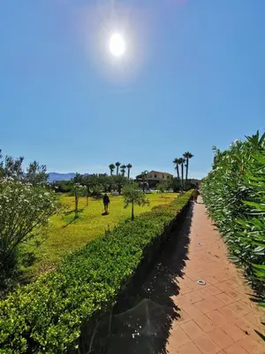 a path in a field with the sun in the sky at Azienda Agrituristica Baglio Carta in Balestrate