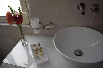 a vase with flowers on a counter next to a sink at Residenza Wagner in Palermo