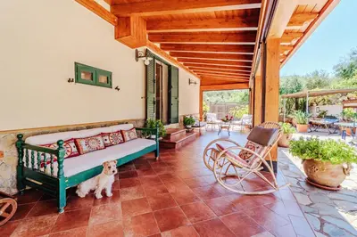 a dog standing in a porch with a couch at Villa Ficodindia in Altavilla Milicia