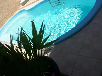 a potted plant in front of a swimming pool at Hotel Altamarea in San Vito lo Capo