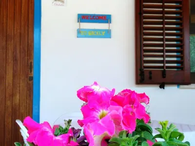 a vase filled with pink flowers in front of a wall at Villette di Scopello - Casa Vacanze in Scopello