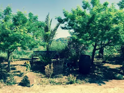 a garden with some trees and a trash can at Villa della Mimosa in Alia
