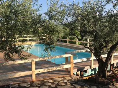 a swimming pool with a wooden deck next to a tree at Villa in Alia with Pool & Olive Views in Alia