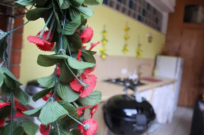 a plant with red flowers and a telephone in a kitchen at Da Angelo in Castellammare del Golfo