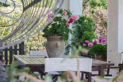 a table with a pot of flowers on it at Villa Gabriella - Mondello in Mondello