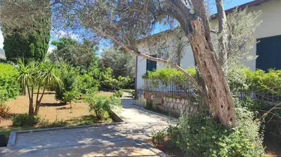 a walkway in front of a house with a tree at Villa Serrano in Palermo