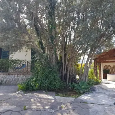 Villa Serrano