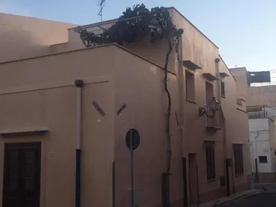 a building with a plant on the side of it at Casa Vacanze La Pergola@ in Terrasini