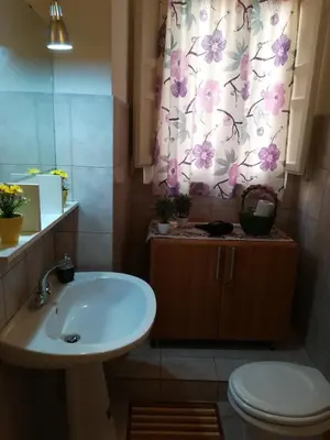 a bathroom with a sink and a toilet and a shower curtain at casa in palazzo Graffeo Eva in Palermo