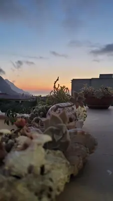 a pizza sitting on a table with a sunset in the background at Al Cantuccio in Castelluzzo