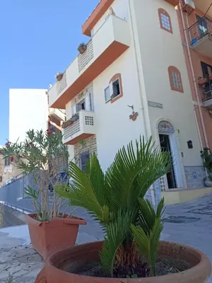 a plant in a pot in front of a building at Torre Vallelunga in Trabia
