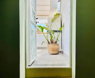 an open door with a potted plant on the floor at Gagini House & Terrace in Palermo